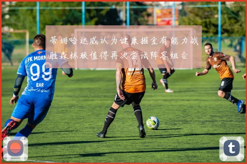 蒂姆哈达威认为健康掘金有能力战胜森林狼值得再次尝试阵容组合
