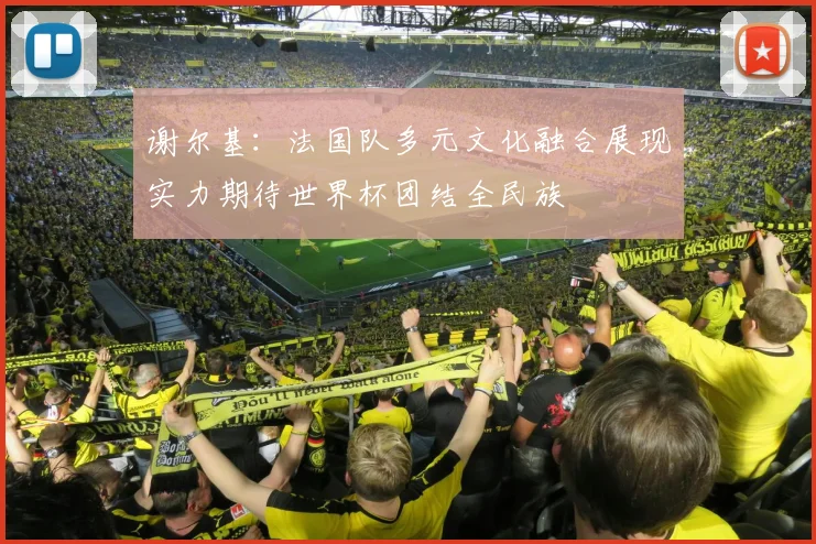 谢尔基：法国队多元文化融合展现实力期待世界杯团结全民族